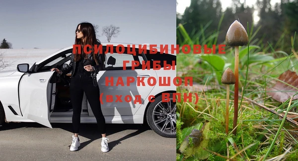 прущая мука Володарск